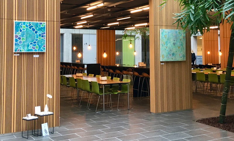 Første udstilling i 2019