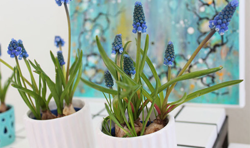 Anne-Toxværd-Kunst-blomst-bord