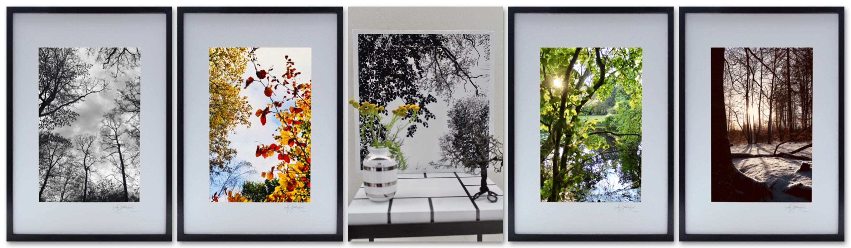 Naturfotoprint Cover