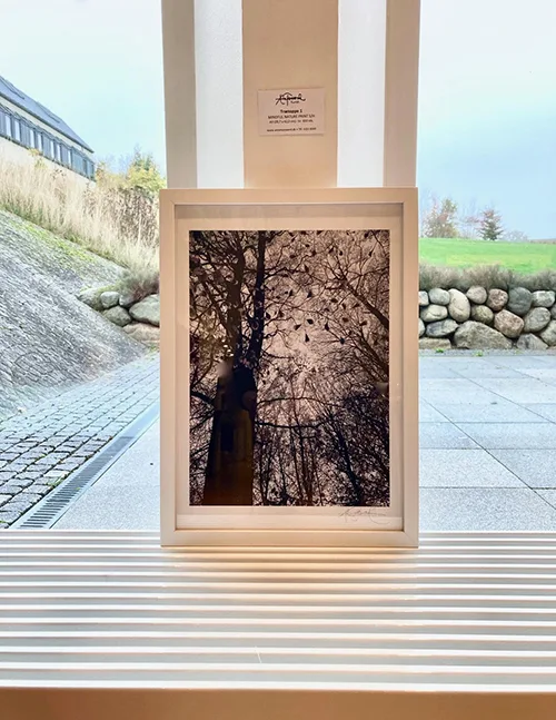 AnneToxværdKunst-velux11