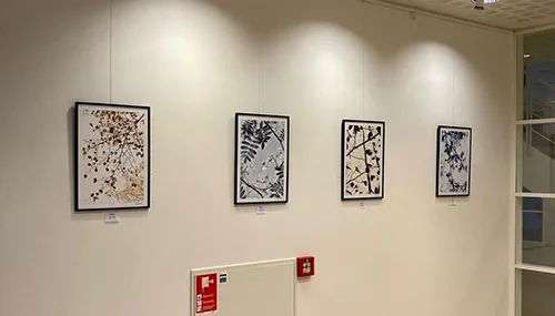 AnneToxværdKunst-velux6